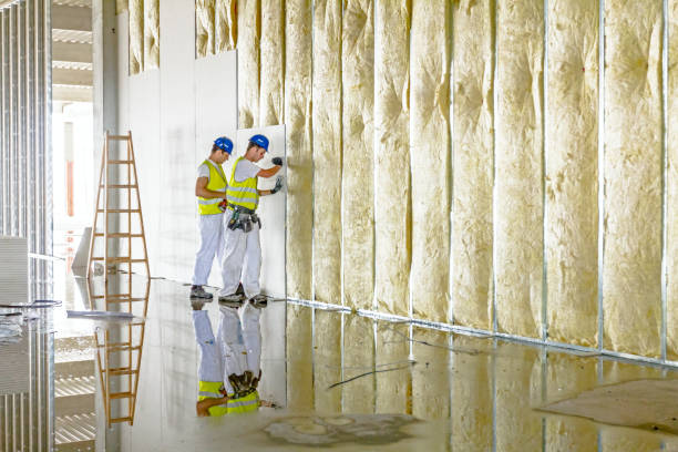 Best Insulation Air Sealing  in Plains, TX